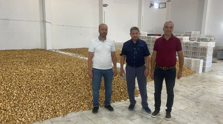 Nazilli'de kuru incir alım sezonu başladı