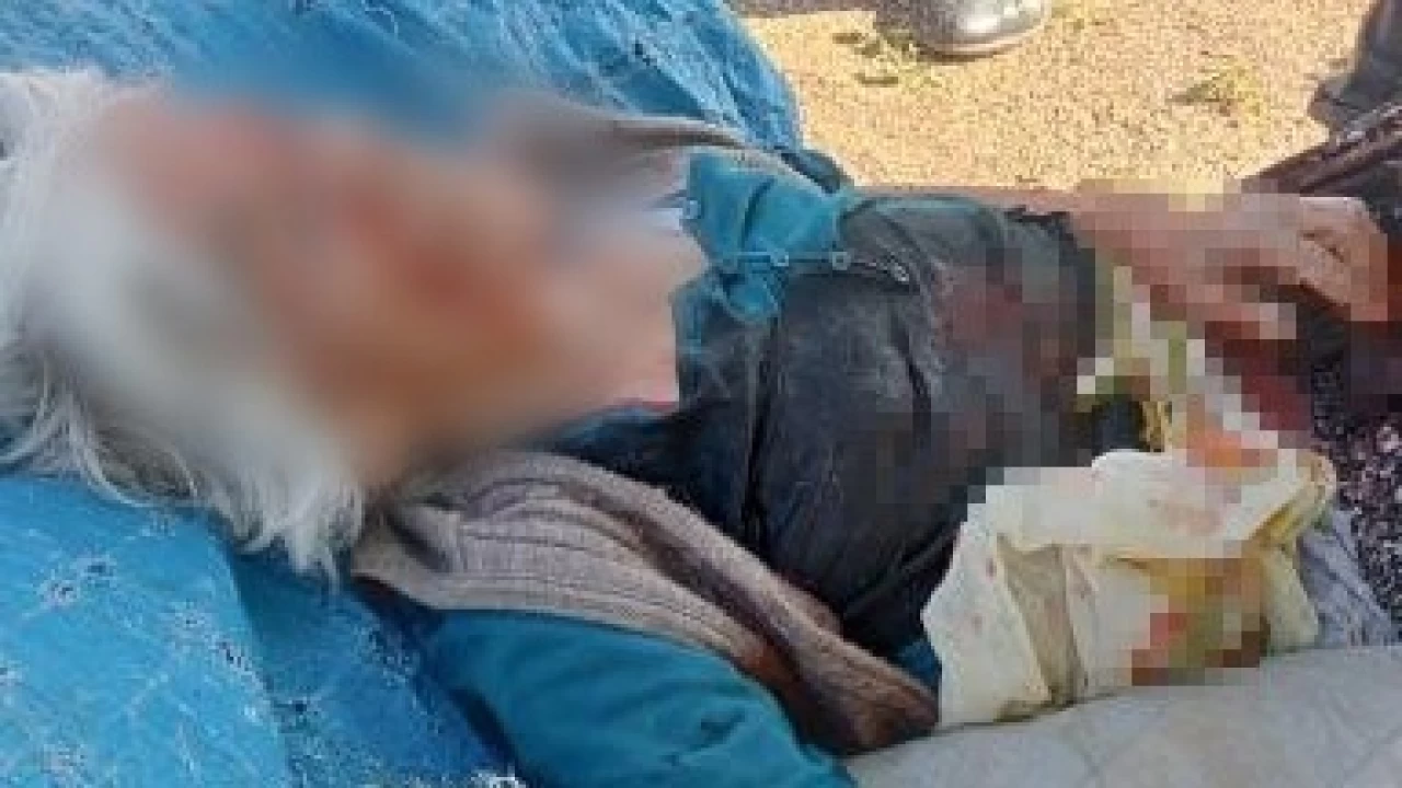 Ni�de'de sahipsiz k�pe�in sald�rd��� kad�n a��r yaraland�