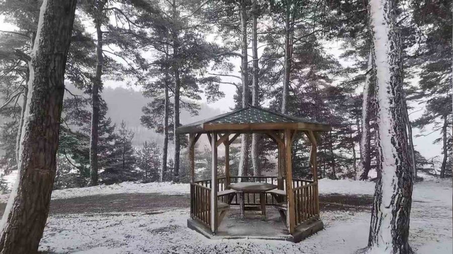 Nisan ay� sonunda ya�an kar hayrete d���rd�