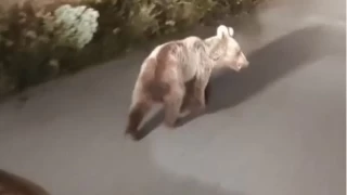 O ehirde aylar kye indi