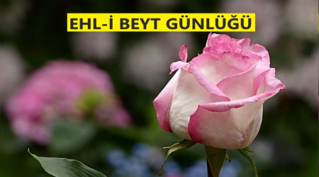 lm, mmine gl gibidir