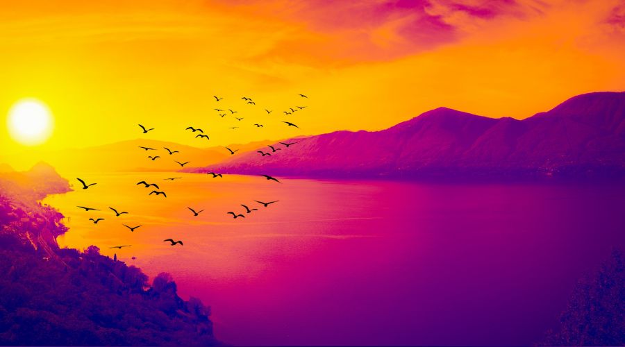 Onlar daima afiyet i�indedirler  