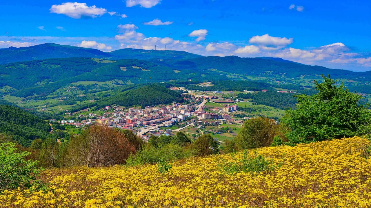 Ordu'nun yükselen değeri Akkuş