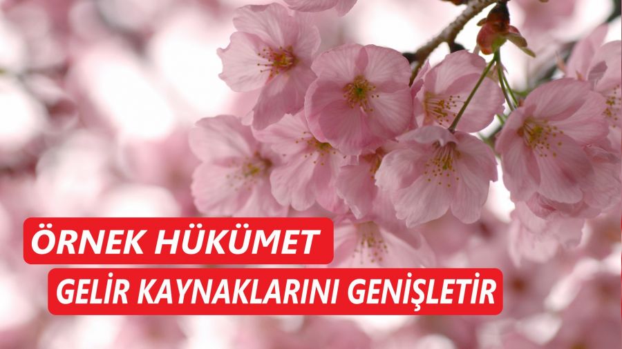 Örnek hükümet, gelir kaynaklarını genişletir