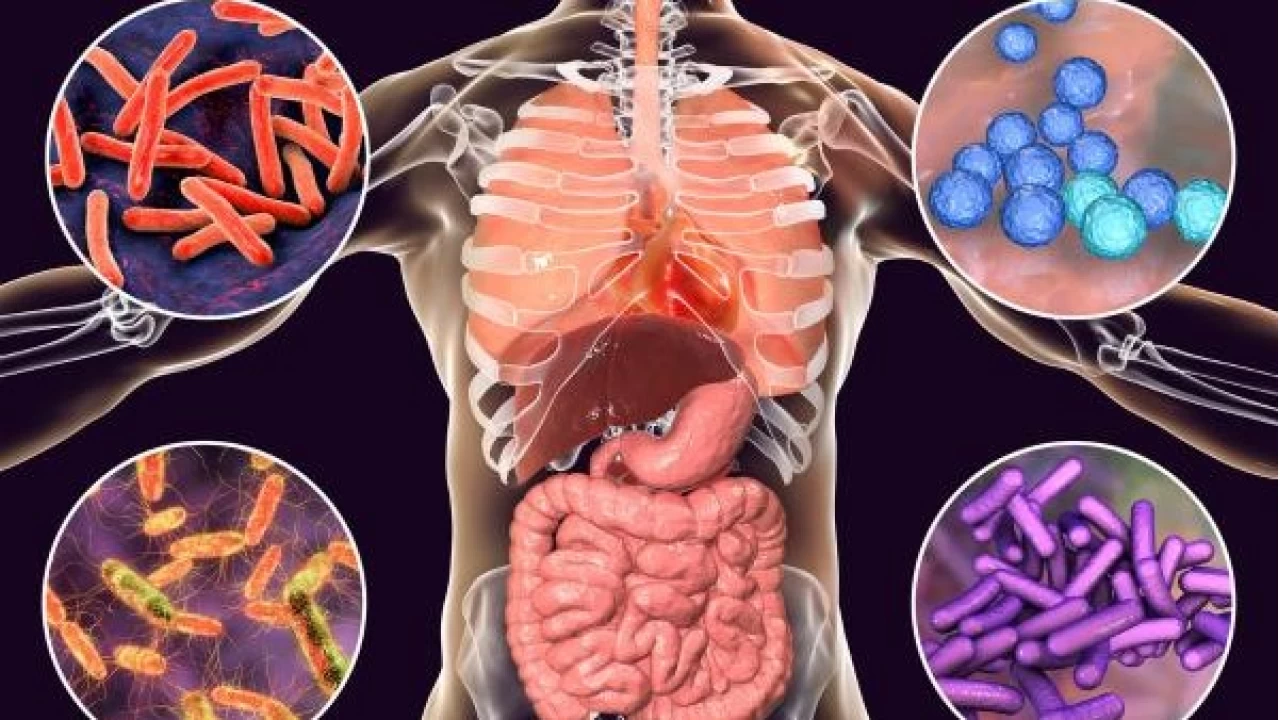 Orucun sindirim sistemi üzerindeki etkileri