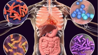 Orucun sindirim sistemi üzerindeki etkileri