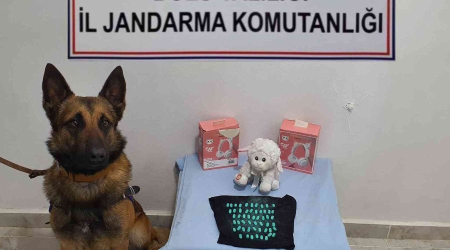 Oyuncağın içine sakladığı uyuşturucu haplarla yakalandı