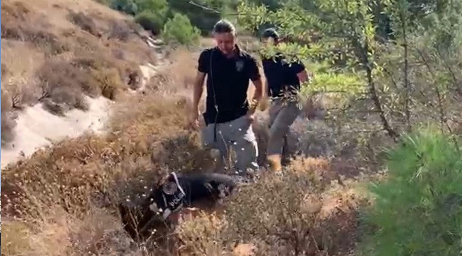 Vicdan azabı, 15 yıllık cinayeti çözdü