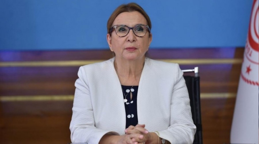 Pekcan'dan 'elik'te lkelere ibirlii ars