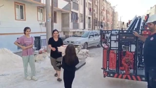 Pencerede mahsur kalan kediyi itfaiye kurtard