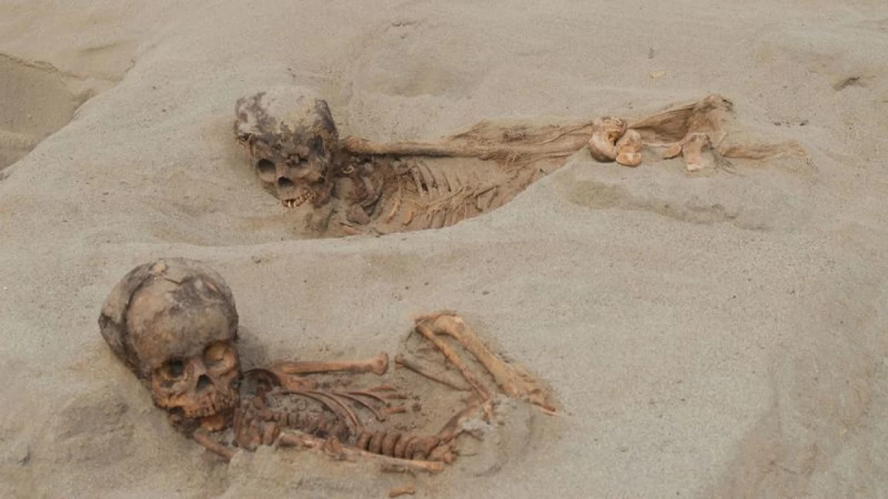 Peru'daki antik toplu mezarda şaşırtıcı buluntu
