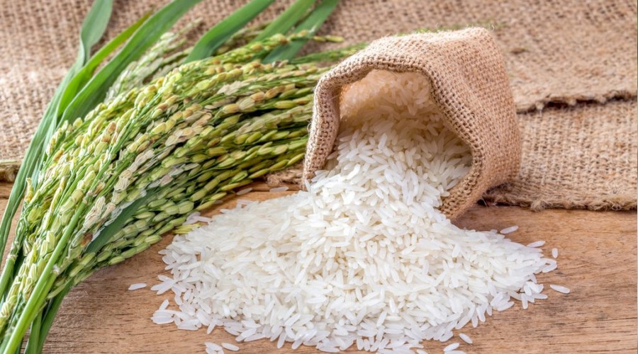 Pirinç tüketimi faydalı mı?