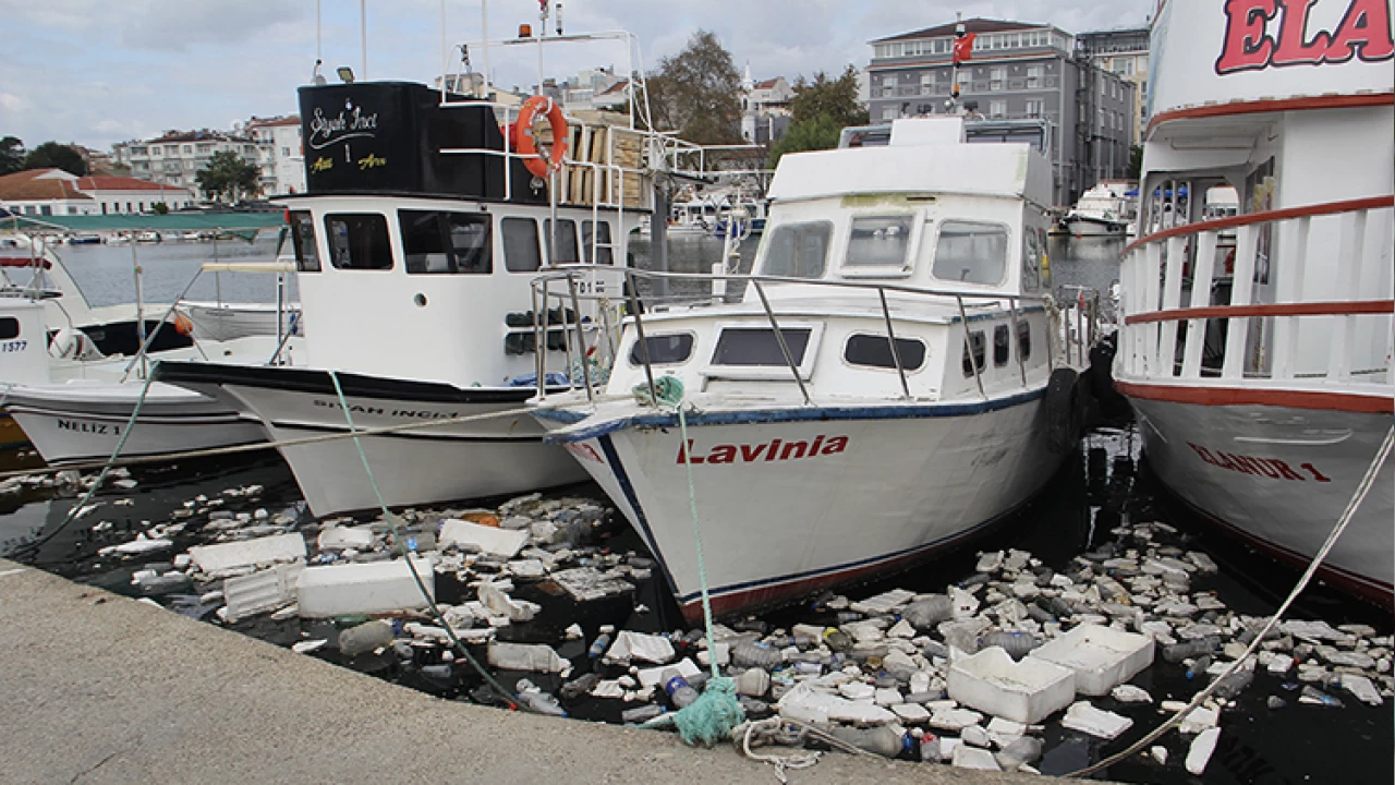 Plastik çöpler deniz canlılarını öldürüyor