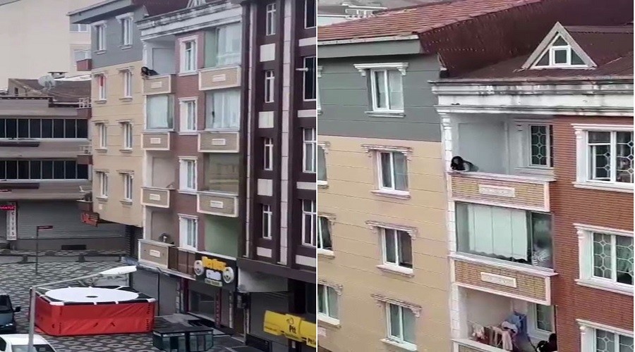 Polis ikna etti, intihardan vazgeçti