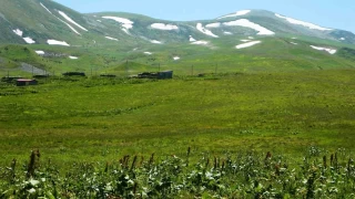 Posof'ta yayla mevsimi balad