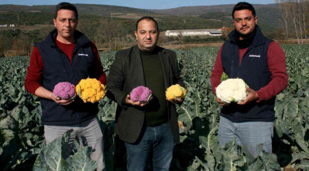 Renkli karnabaharlar hem göze, hem mideye hitap ediyor