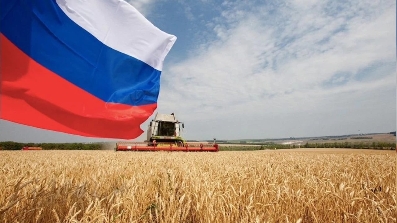 Rusya'n�n tar�m �r�nleri ihracat� 70 milyon tona ula�t�