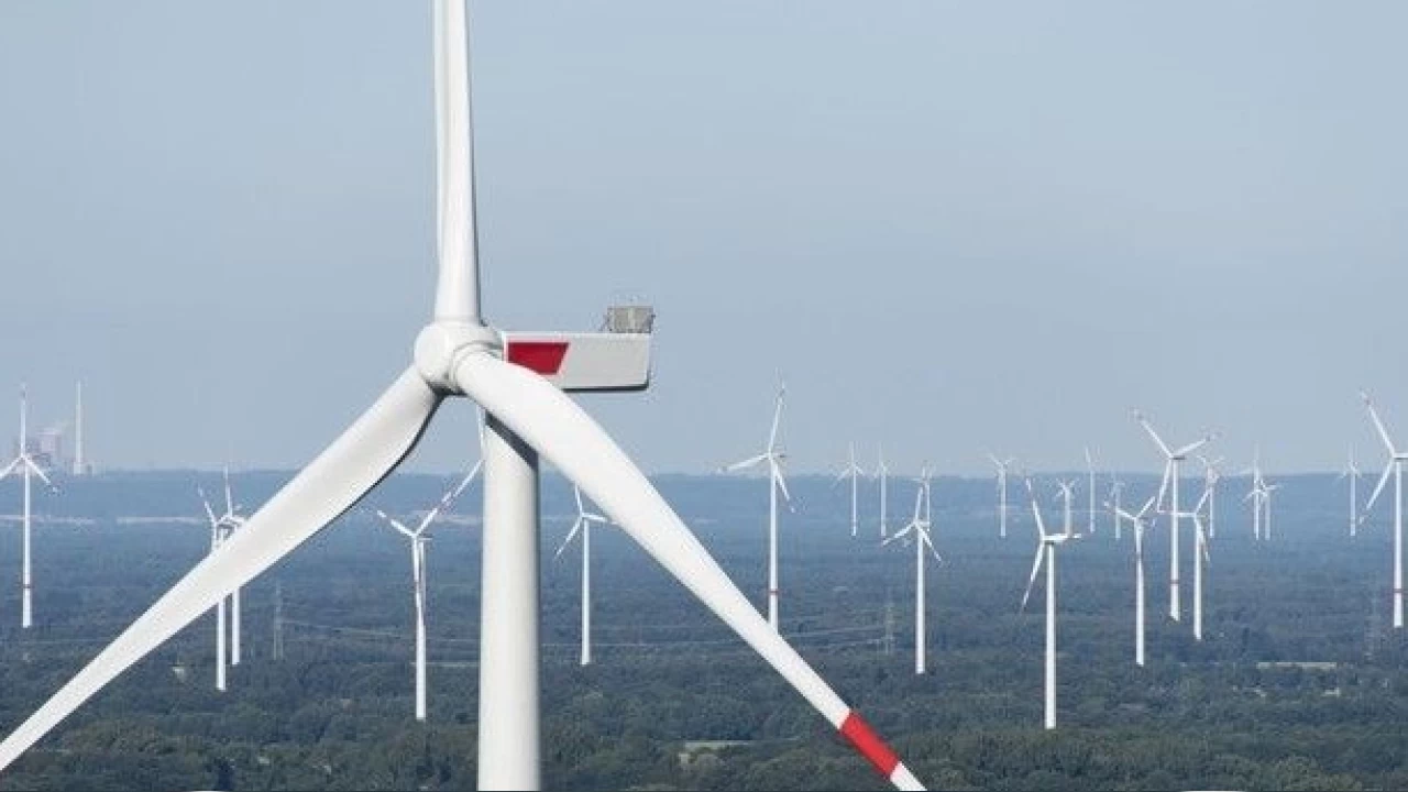 Rüzgar gülleri: Doğal enerjinin simgesi