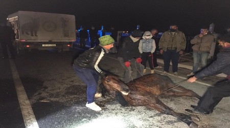 Saatlerce soukta tedavi edilmeyi bekledi