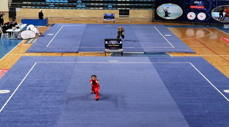 Sakarya'da yapılan Türkiye Wushu Şampiyonasına talep oldukça fazlaydı