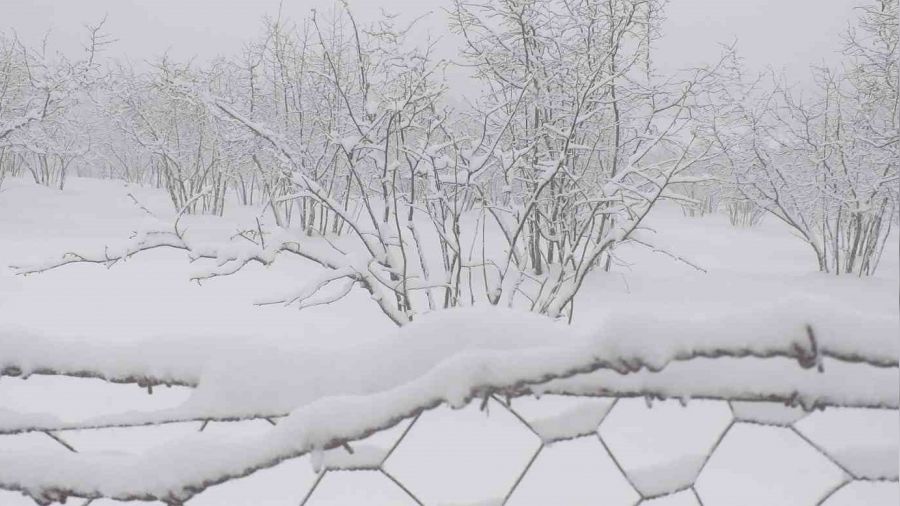 Sakarya'nın yüksek kesimleri beyaza büründü