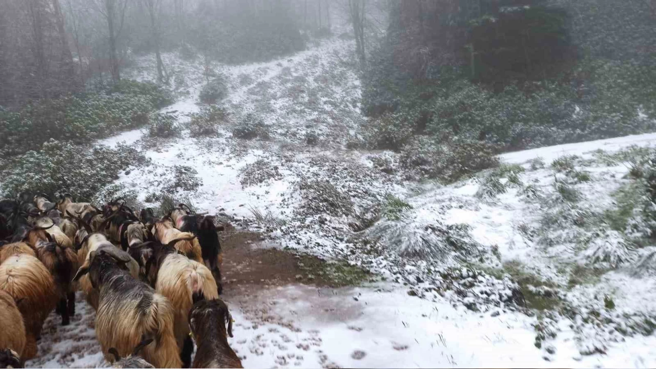 Sakarya'nın yüksek kesimlerinde kar yağdı
