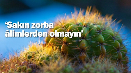 ‘Sakın zorba âlimlerden olmayın’