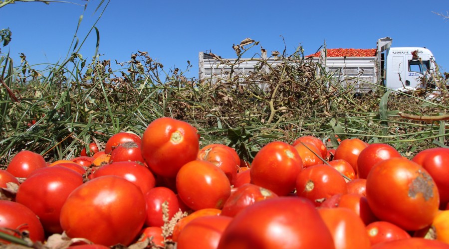 Sal�a fabrikalar�ndan �ift�iye oyun