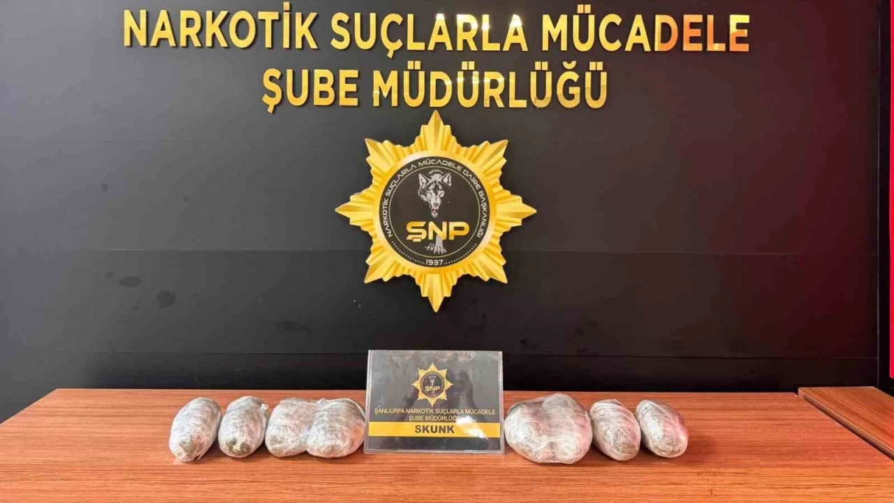 anlurfa'da uyuturucu operasyonu: 20 gzalt