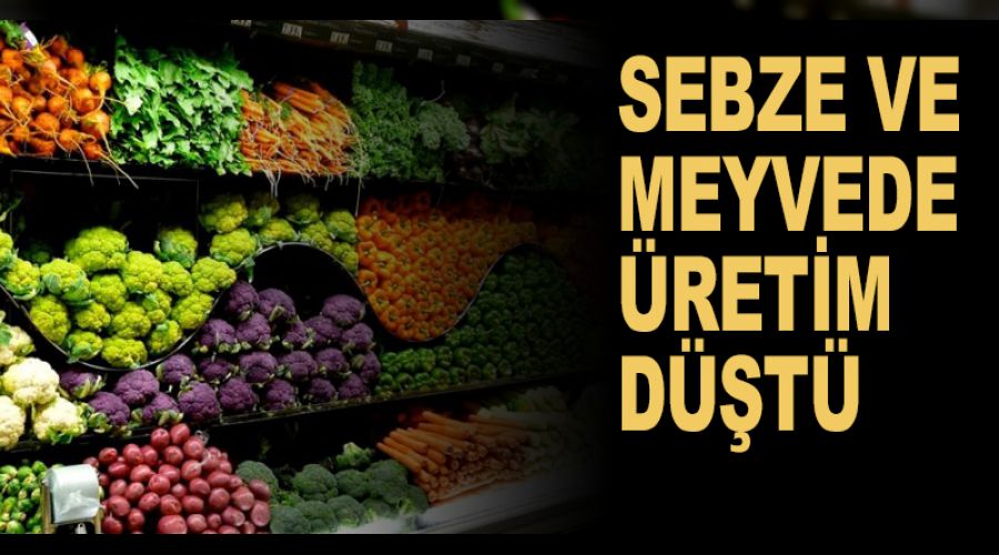 Sebze ve meyvede �retim d��t�