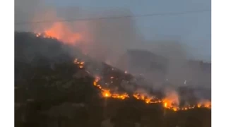 emdinli'de korkutan yangn: Yerleim yerlerine sramas engellendi