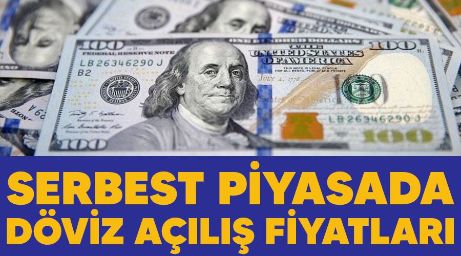 Serbest piyasada d�viz a��l�� fiyatlar�