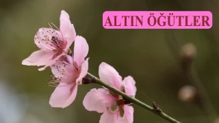 ‘Şeytan’ın yolunu açlıkla daraltın’