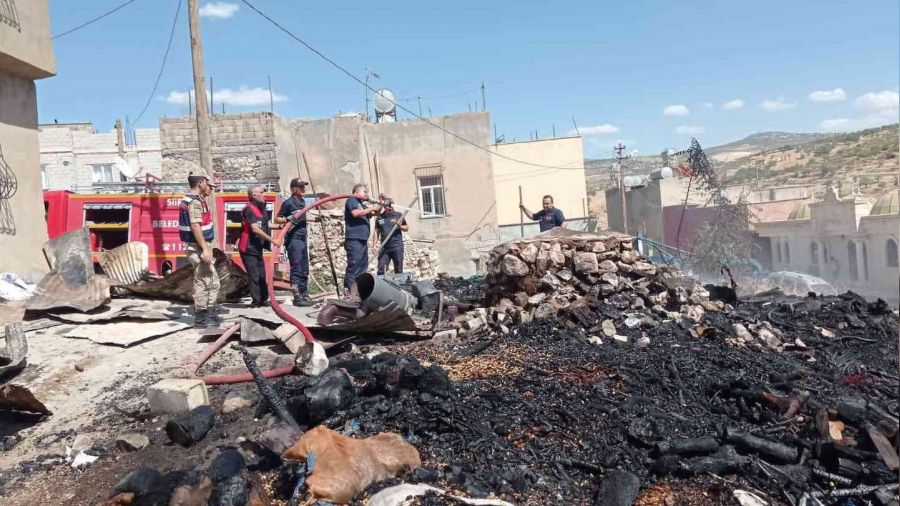 Siirt'te kış gelmeden 2 ton odun yandı