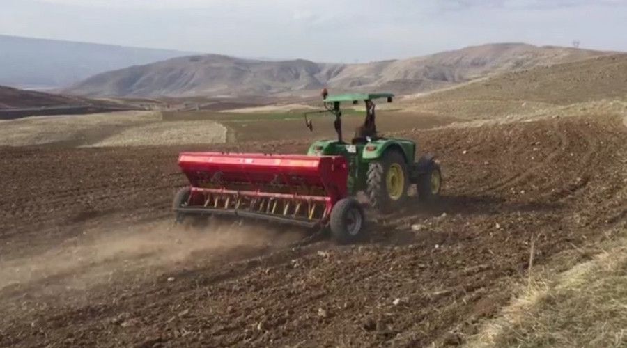 Siirt'te nohut üretimine ilgi arttı