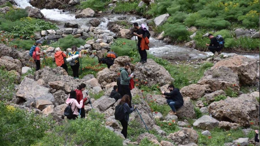 rnak'ta ters lale iin turlar dzenleniyor