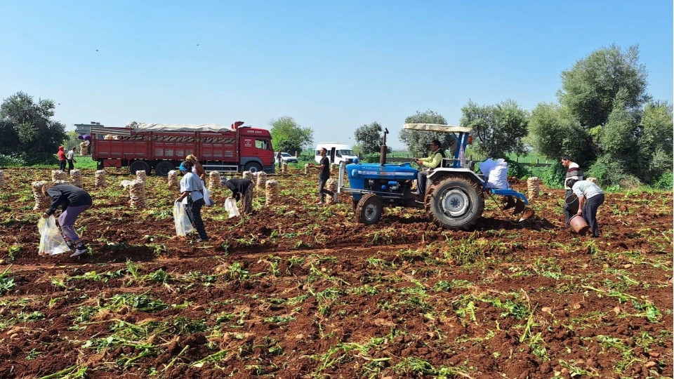 Tar�m-�FE y�ll�k y�zde 31.45 artt�