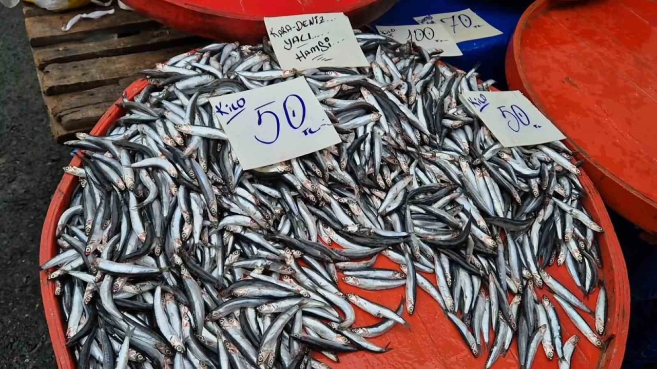 Tekirdağ'da hamsinin kilosu 50 liraya kadar düştü