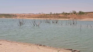 Tekirda'da kuruyan Trkmenli Glet'inde aalar ortaya kt