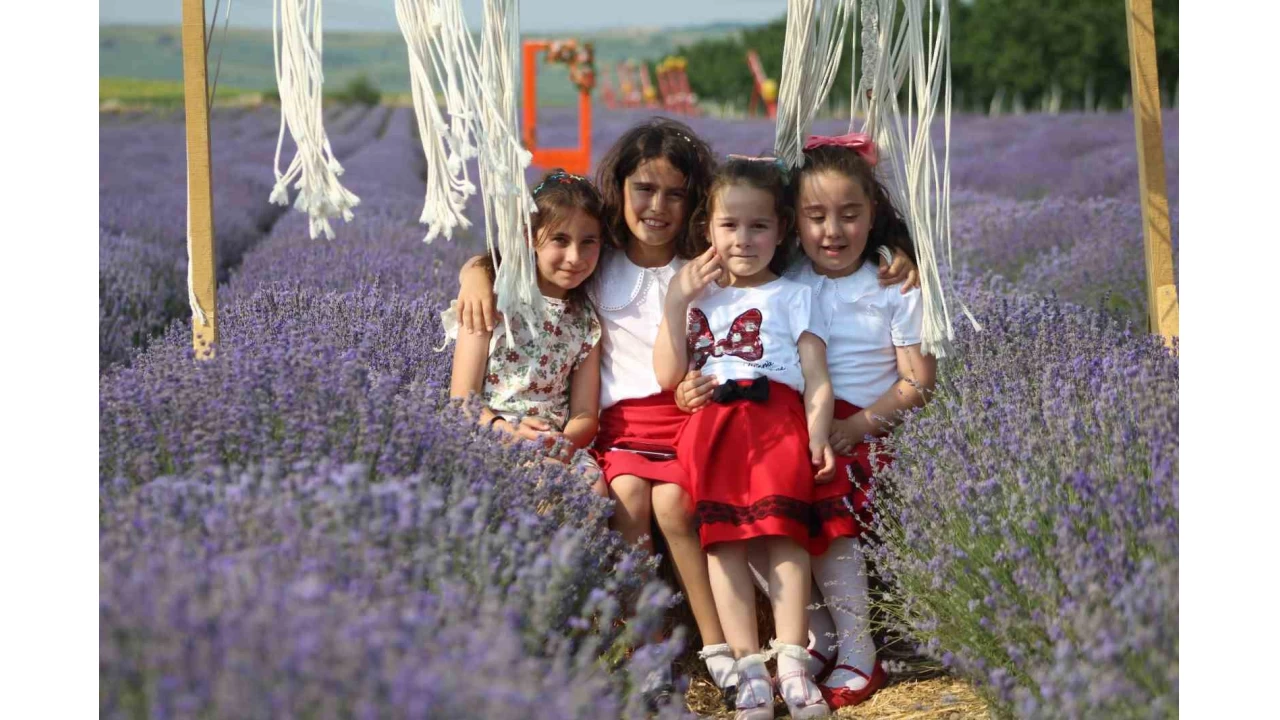 Tekirdağ'da lavanta tarlaları görsel şöleniyle büyülüyor