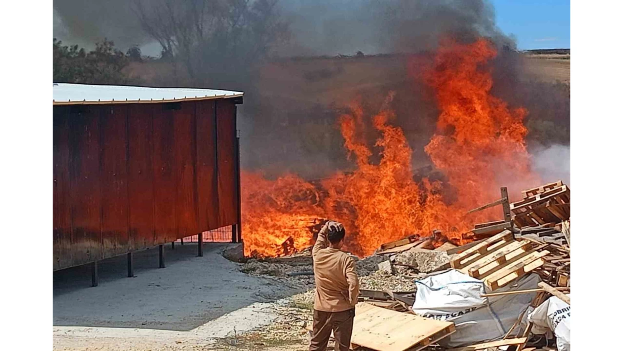 Tekirdağ'da palet fabrikasından alevler yükseldi