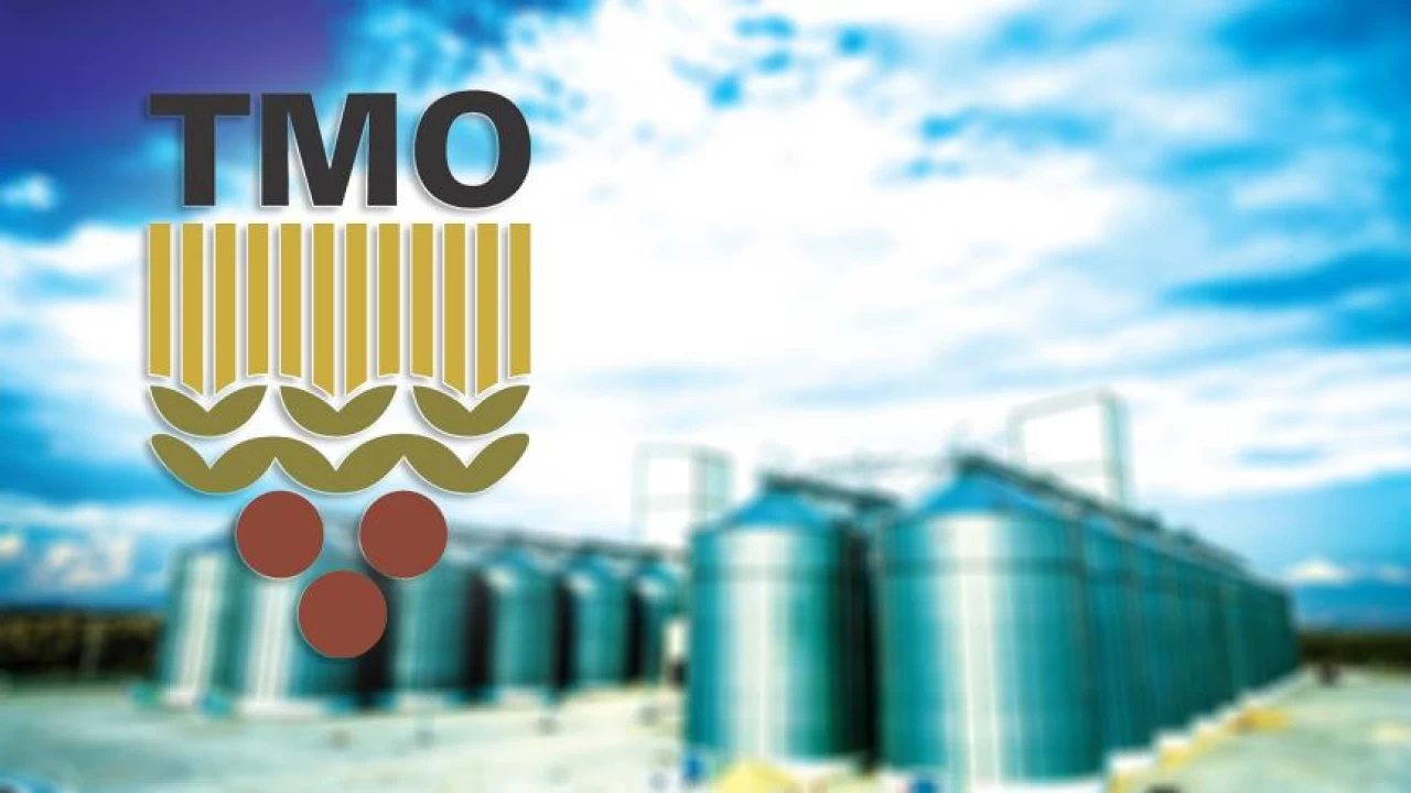 TMO, 2024 d�nemi hububat al�m fiyat ve politikalar�n� a��klad�