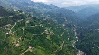 Trabzon'un yol a, Washington gidi-geli mesafesini geride brakt