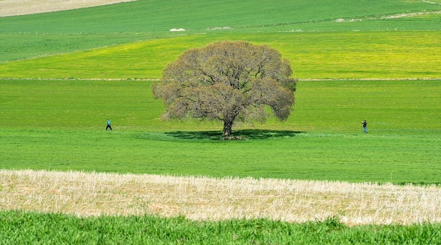 Tunceli emigezek "Sanatlara ilham verecek kadar gzel"