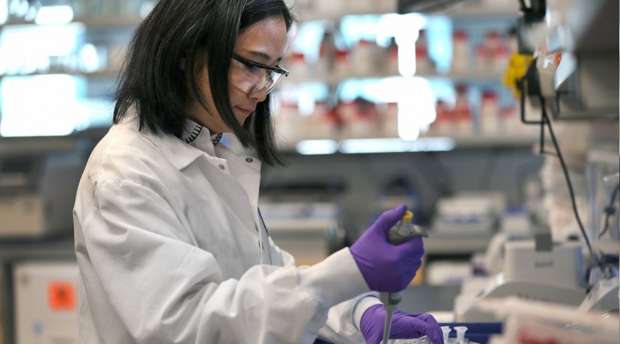 T�rkiye'den ila�ta ge� gelen hamle