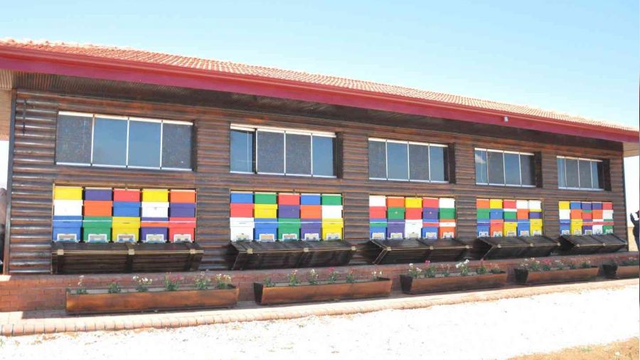 Türkiye'nin ilk arı evi Kahramanmaraş'ta açıldı