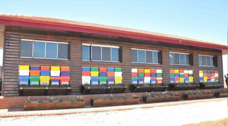 Türkiye'nin ilk arı evi Kahramanmaraş'ta açıldı