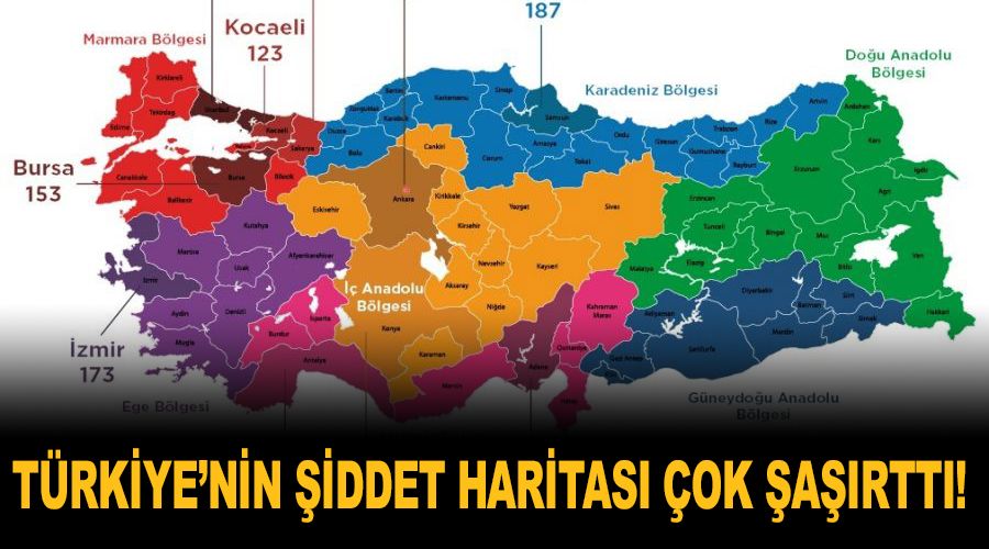 Türkiye'nin şiddet haritası çok şaşırttı