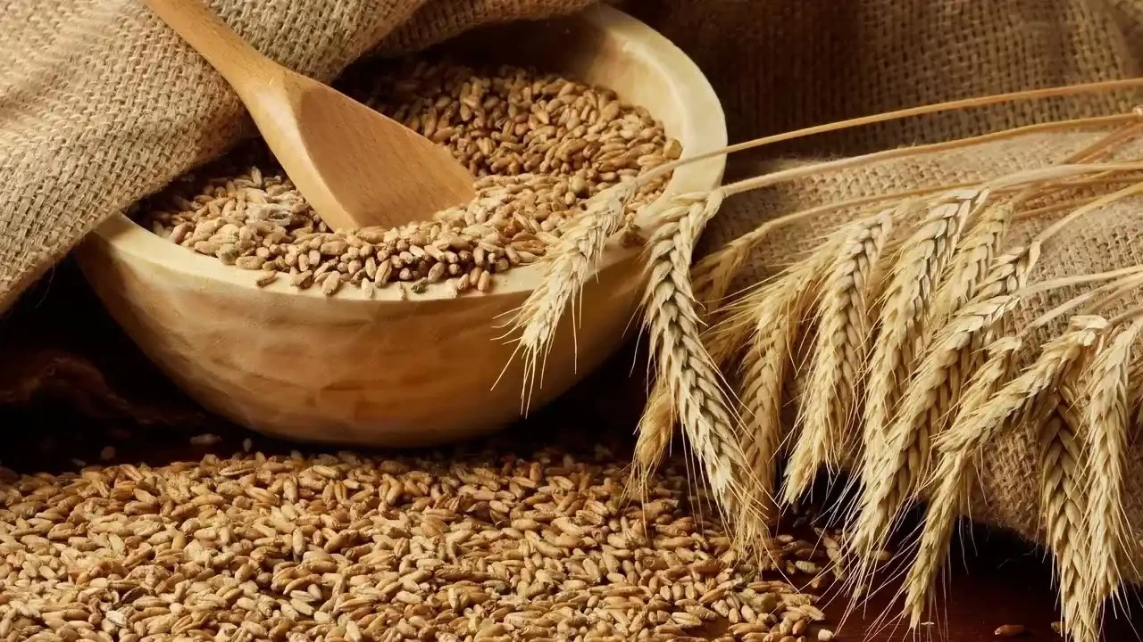 TZOB Başkanı Bayraktar, arpa ve buğdayda müdahale alım fiyatlarının revize edilmesini istedi
