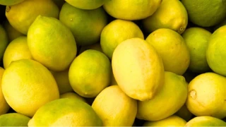 TZOB Genel Ba�kan� Bayraktar, a�ustos ay� �retici ve market fiyatlar�n� de�erlendirdi